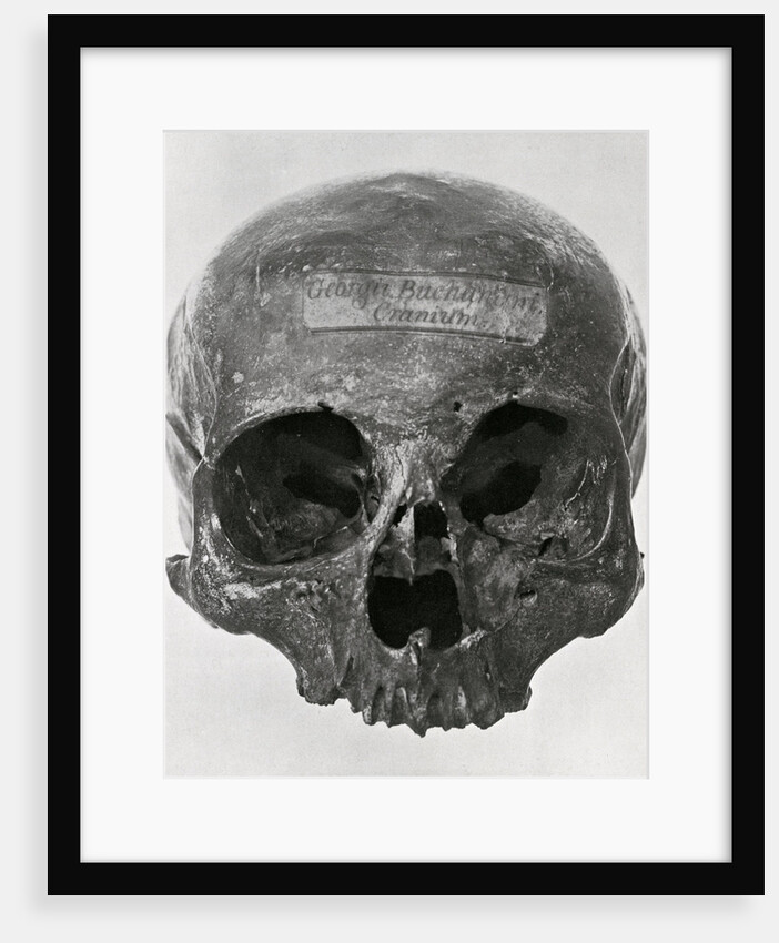 George Buchanan’s skull by Unknown