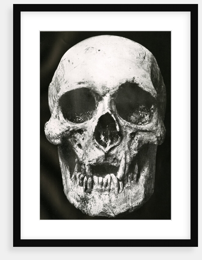 Robert the Bruce’s skull by Unknown