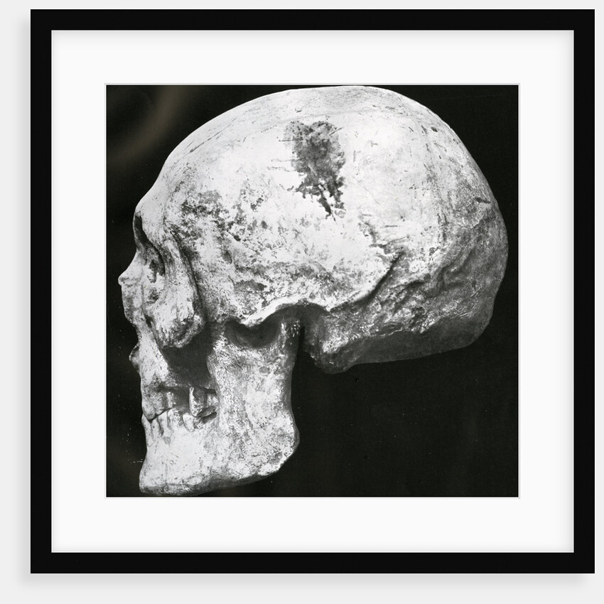 Robert the Bruce’s skull by Unknown