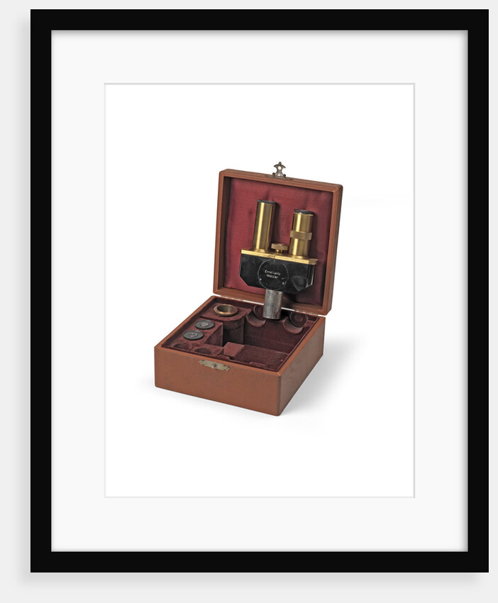 Binocular microscope eyepieces by Ernst Leitz GmbH