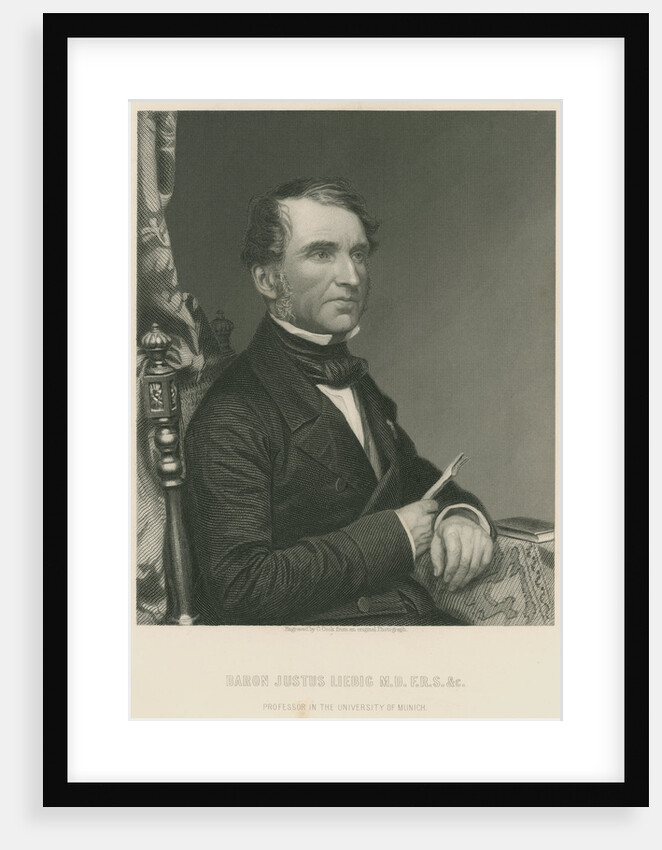 Portrait of Justus von Liebig (1803-1873) by Conrad Cook