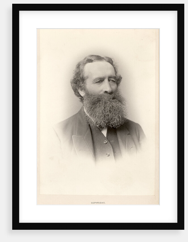 Portrait of William Henry Besant (1828-1917) by Maull & Fox