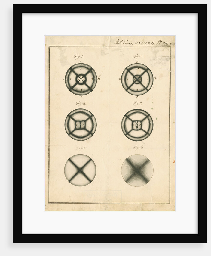 Cod eye lens under polarised light by David Brewster