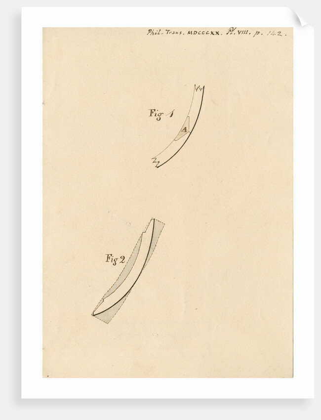 Ribs and chocks in merchant ships by Robert Seppings
