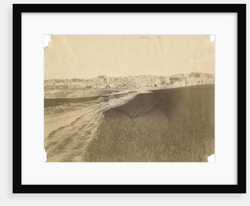 'Spinazzola' by Alphonse Bernoud Grellier