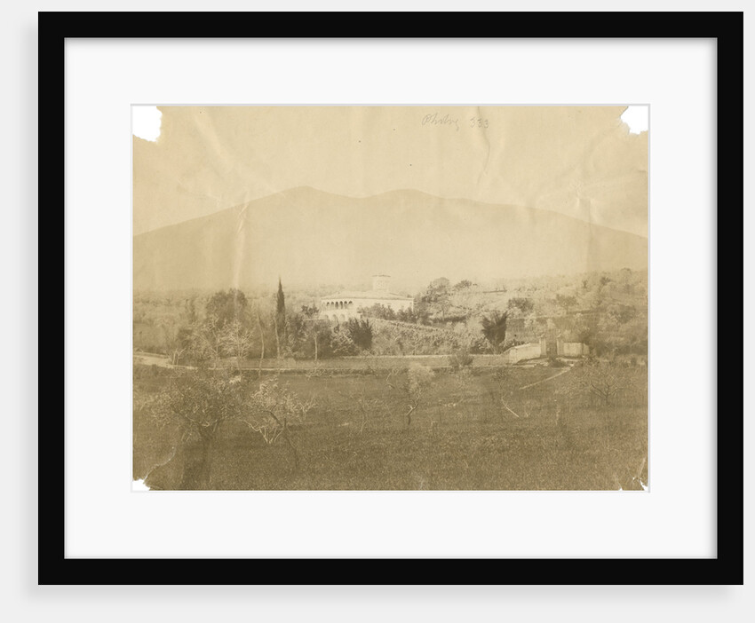 'Vulture from Melfi' by Alphonse Bernoud Grellier