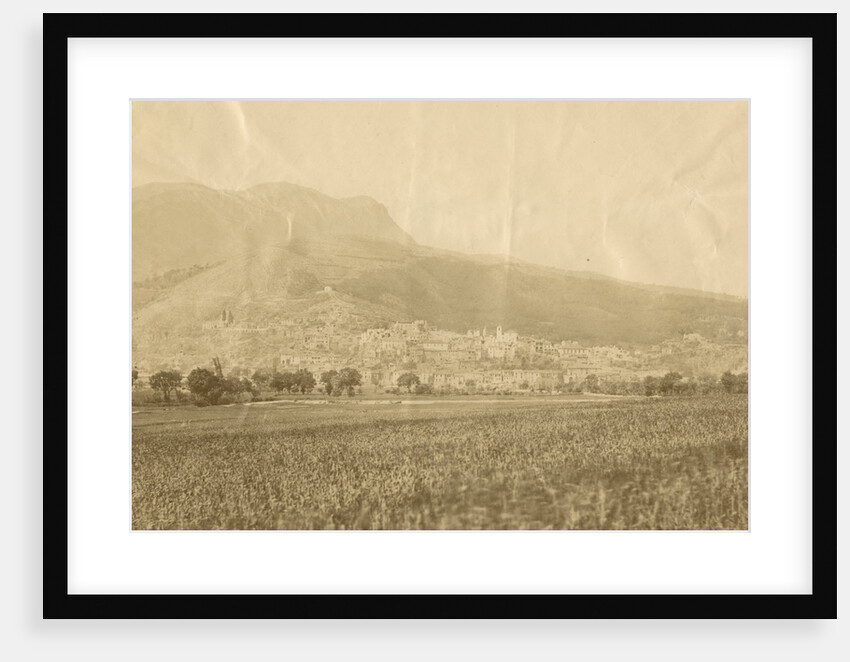 'Polla' by Alphonse Bernoud Grellier