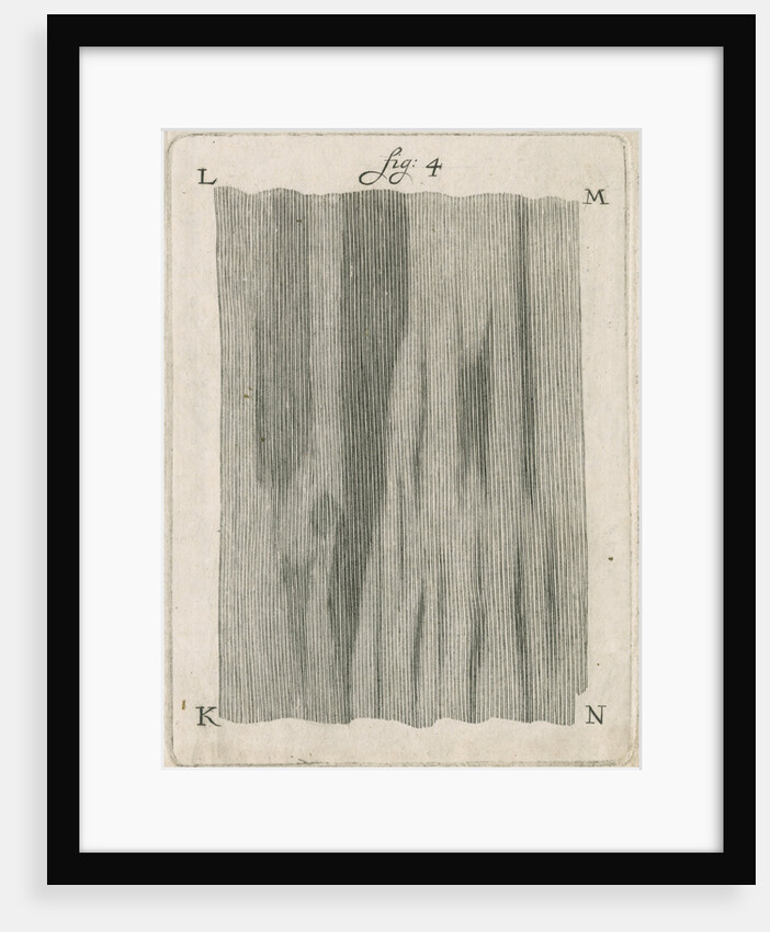 Microscopical observations of the structure of human teeth by Anonymous