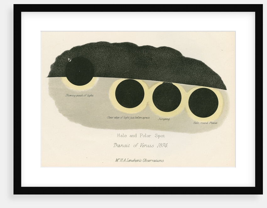 Halo and polar spot by Anonymous