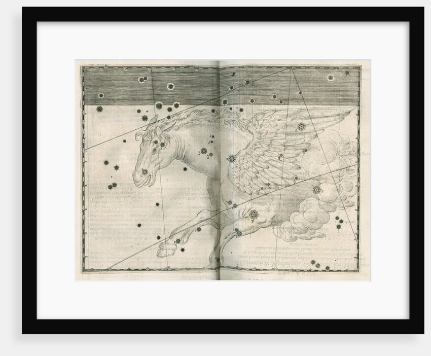 Constellation of Pegasus by Alexander Mair