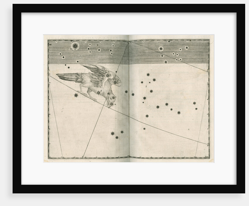 Constellation of Corvus by Alexander Mair