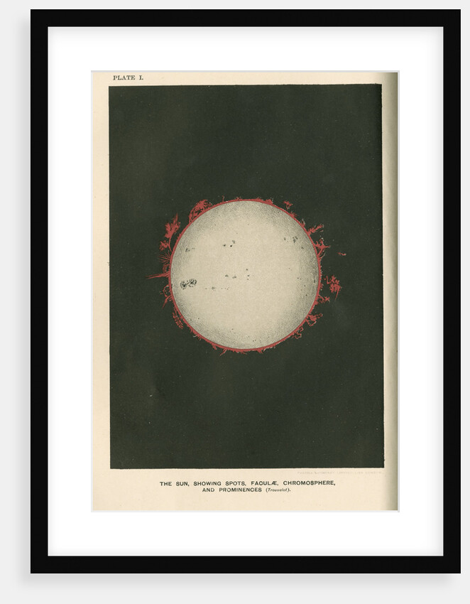 The sun showing spots, faculae, chromosphere, and prominences by Cassell & Co