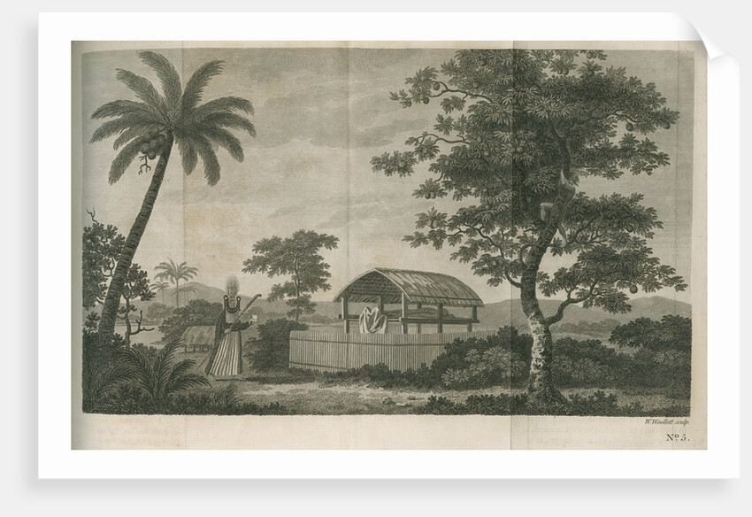 A tupapow (tupapau), or burial shed by William Woollett