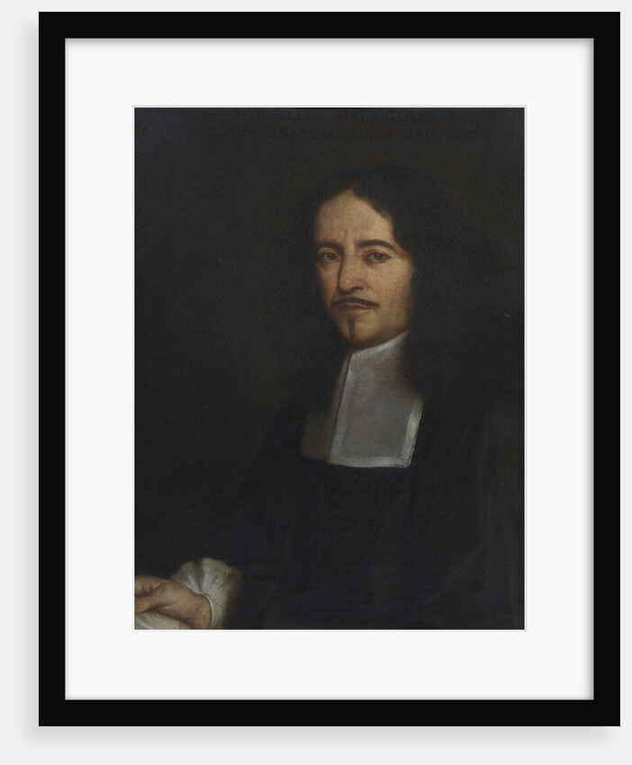 Portrait of Marcello Malpighi (1628-1694) by unknown