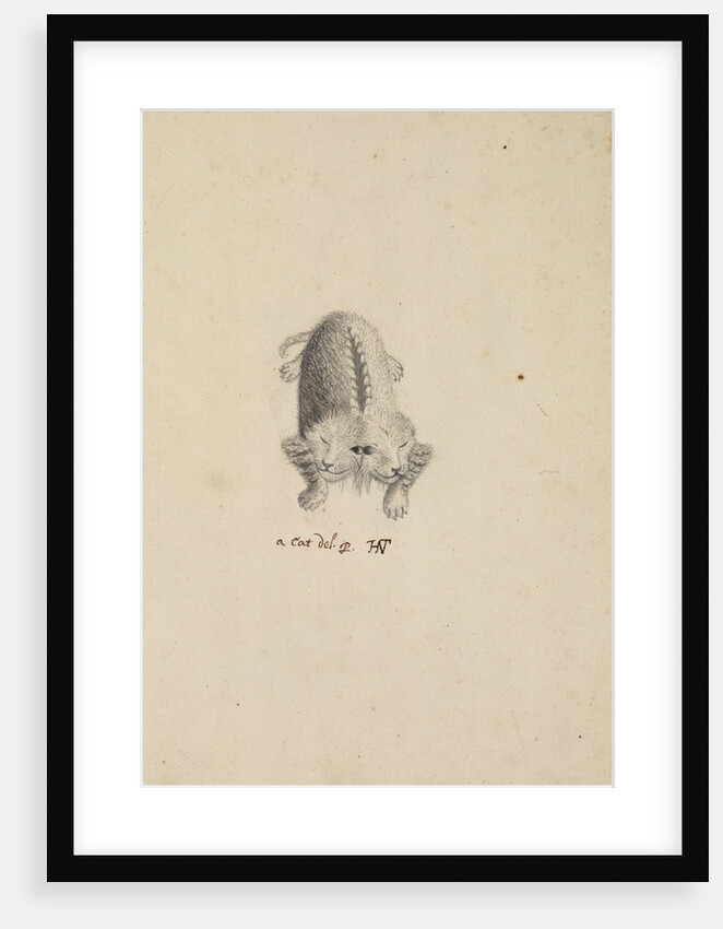 'Monstrous cat' by Henry Hunt