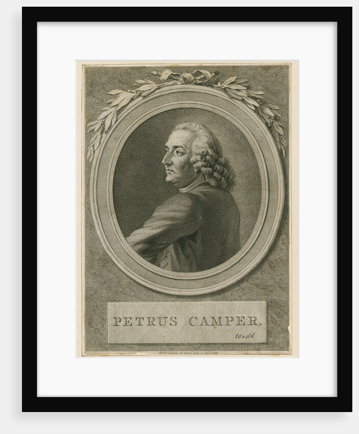 Portrait of Pieter Camper (1722-1789) by Reinier Vinkeles