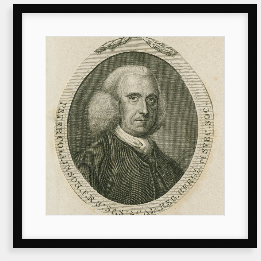 Portrait of Peter Collinson (1694-1768) by Anonymous