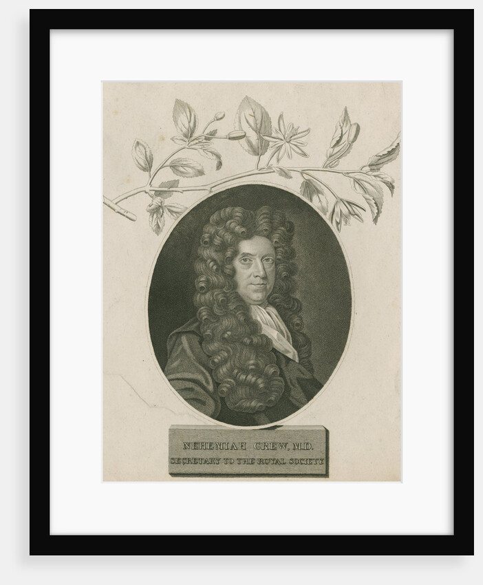 Portrait of Nehemiah Grew (1641-1712) by James Newton