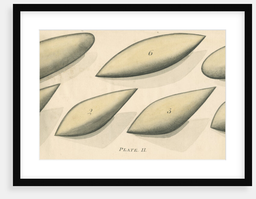 Studies of hydrodynamic shapes by Mark Beaufoy