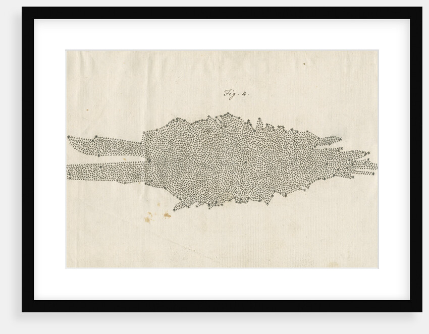 Structure of the Milky Way galaxy by William Herschel
