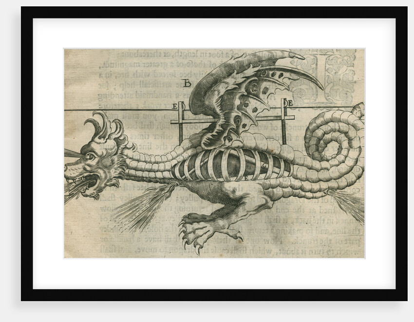 Dragon firework display by Anonymous