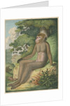 'The Barbary Ape' [Barbary macaque] by James Sowerby