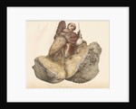'Great Sciatic nerve' by Leonard