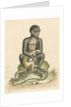 'The Middle-sized Black Monkey' by George Edwards