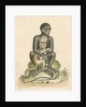 'The Middle-sized Black Monkey' by George Edwards