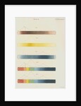 Red, blue and yellow spectra, with the solar spectrum by William Home Lizars
