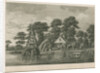 Pleasure garden at Grove Hill, Camberwell, in Surrey by Anonymous