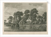 Pleasure garden at Grove Hill, Camberwell, in Surrey by Anonymous