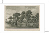 Pleasure garden at Grove Hill, Camberwell, in Surrey by Anonymous