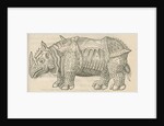 'Figure du Rhinoceros...' by Anonymous