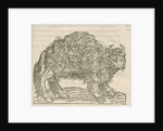 'Figure du Taureau de la Floride' by Anonymous