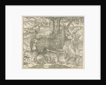'Figure du Pirassoipi, espece de Licorne d'Italie' by Anonymous