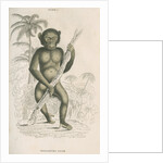 'Troglodytes niger' [Chimpanzee] by William Home Lizars