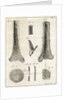The Tibia by Faustino Anderloni