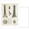 The Tibia by Faustino Anderloni