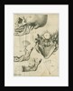 Views of the skull and jaw by Françoise van Bleyswyck