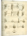 Muscles of the human torso by Joseph Constantine Carpue