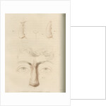 A successful nose replacement using the Indian Method by Charles Turner