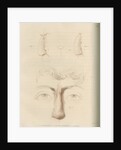 A successful nose replacement using the Indian Method by Charles Turner