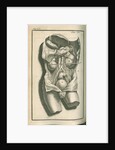 The internal organs by Gerard Vandergucht