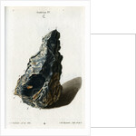 Crude white silver by Johann Michael Seligmann