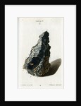 Crude white silver by Johann Michael Seligmann