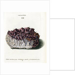 Quartz with Amethyst Crystals by Johann Sebastian Leitner