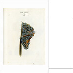 White iron mineral by unknown