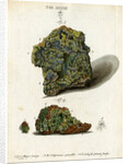 Green mineral of lead by Johann Sebastian Leitner