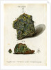 Green mineral of lead by Johann Sebastian Leitner